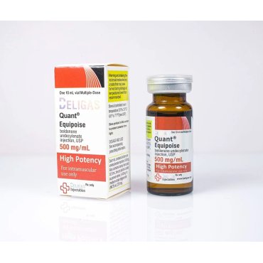 Quant Equipoise 500 Beligas